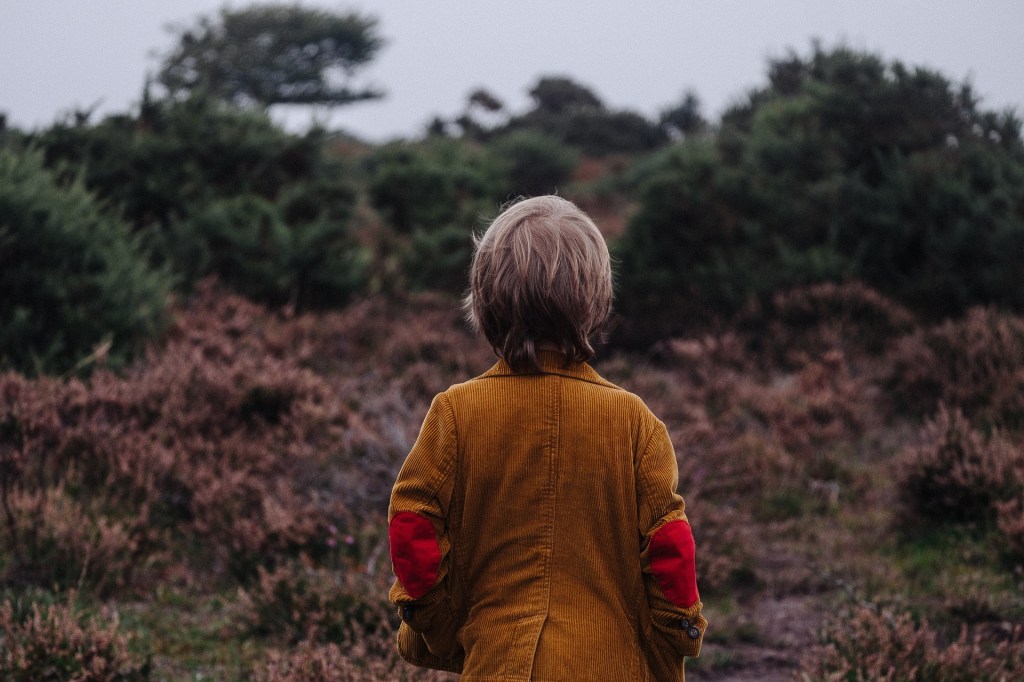 What makes a good Field Naturalist?