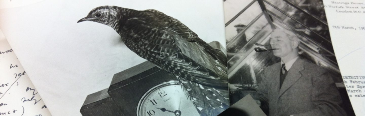 cropped-maxwell-knight-and-goo-the-cuckoo.jpg