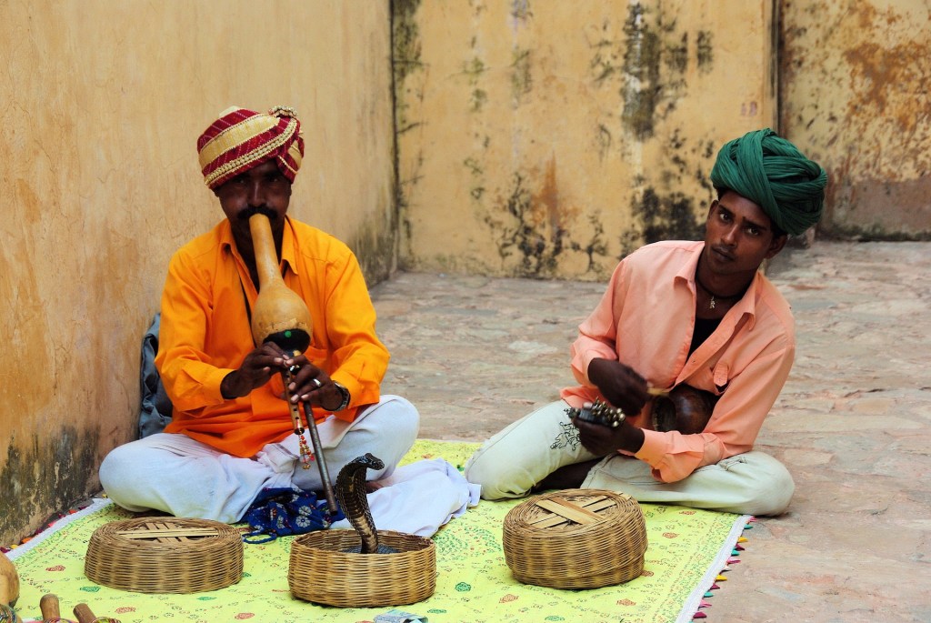 Spies and Snakes – A Charming Story