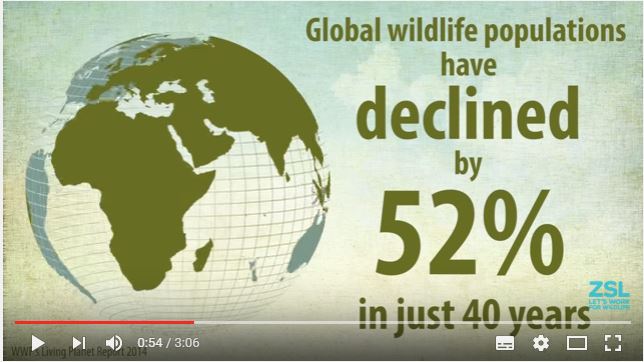 ZSL