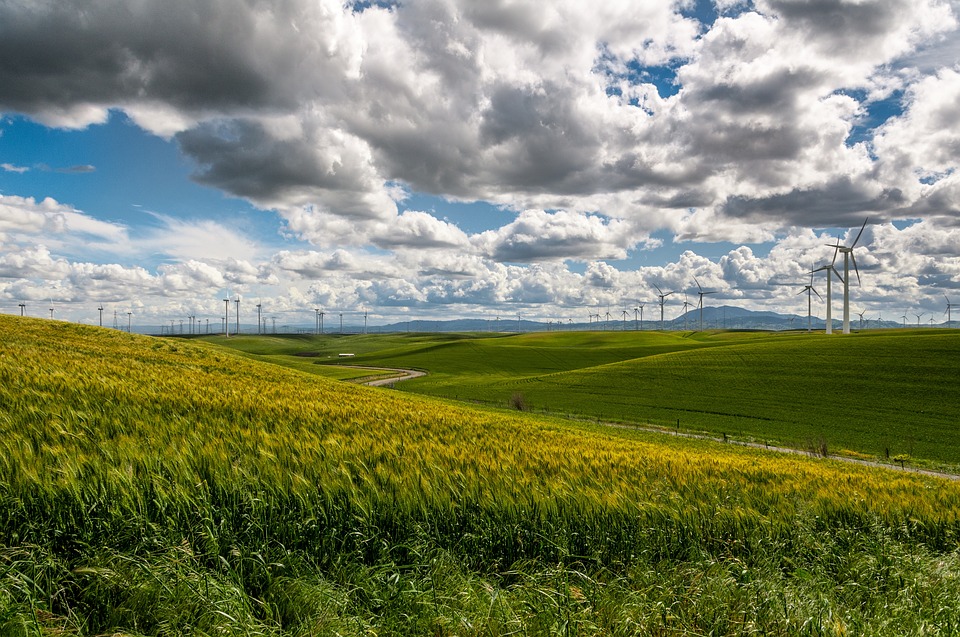 wind-farm-1209784_960_720