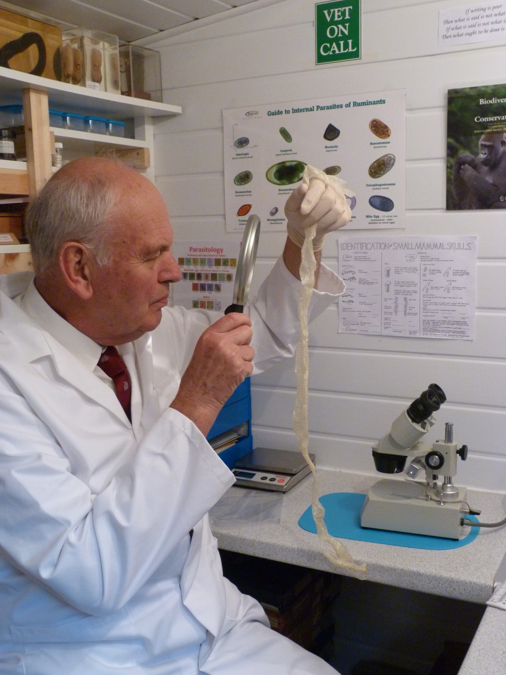 Maxwell Knight and snake skins – a new approach to an old&nbsp;challenge