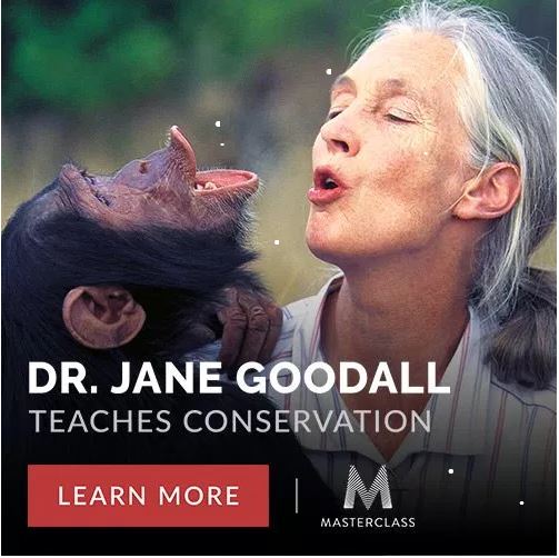 MASTERCLASS: DR. JANE GOODALL TEACHES&nbsp;CONSERVATION