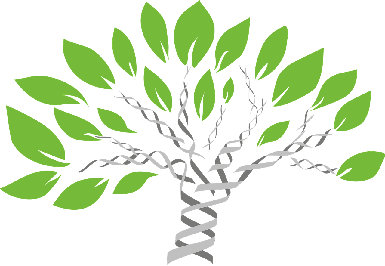 gene-tree-1490270_1280