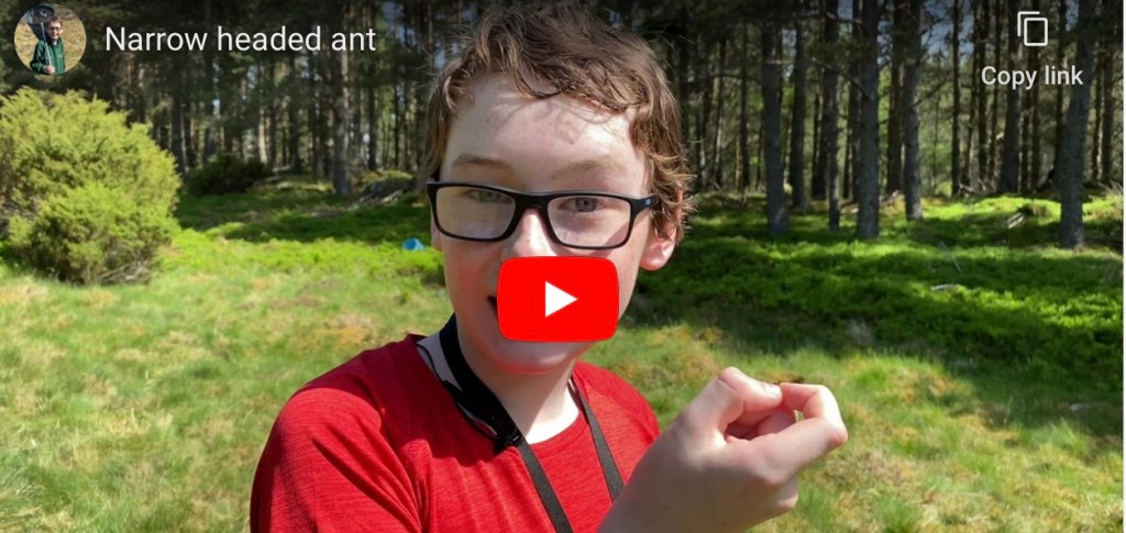 Introducing ‘AntBoy’ – with superpowers of the entomology&nbsp;kind!