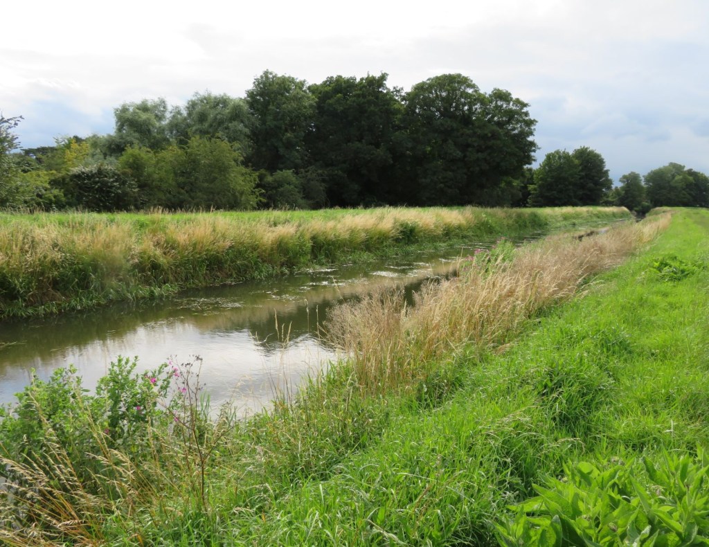 The Nar Valley in Norfolk – A foot safari during the Covid lockdown.