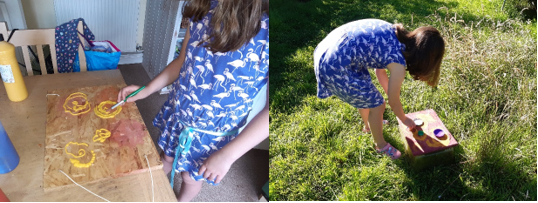 Butterfly feeding experiment by Rowan Allen who is eight-years-old.