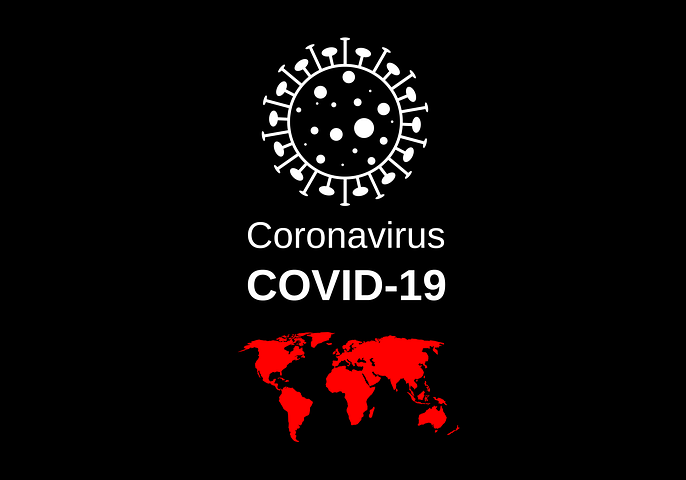 LIFE IN THE TIME OF THE VIRUS by Dr Valerie Jeffries.
