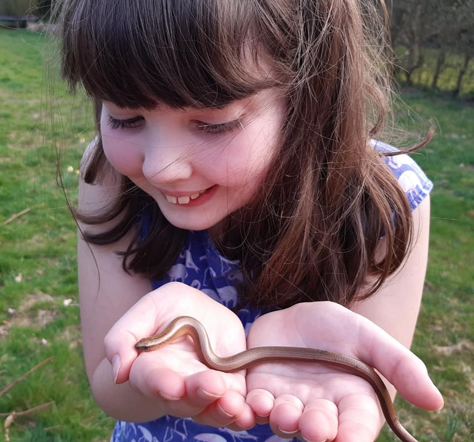 “Our first ever slow worm in the garden…”