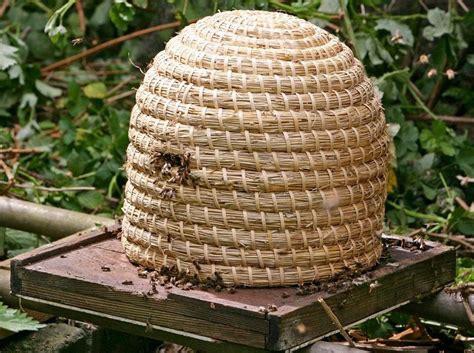 To Bee Or Not To&nbsp;Bee